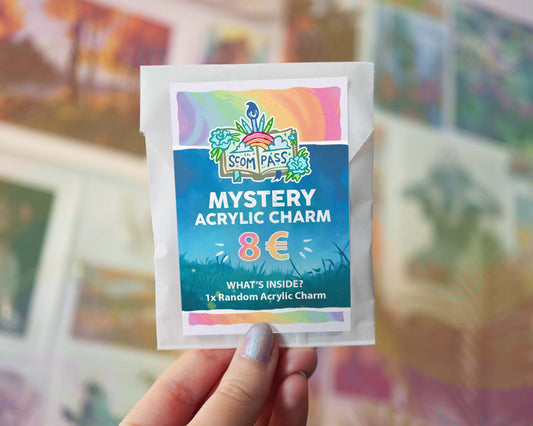 Acrylic Charm Mystery Bag