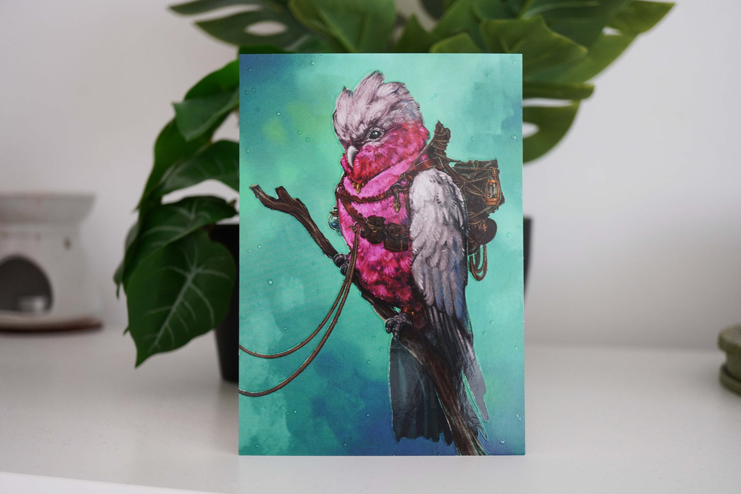 Adventure Birds - Postcard Set