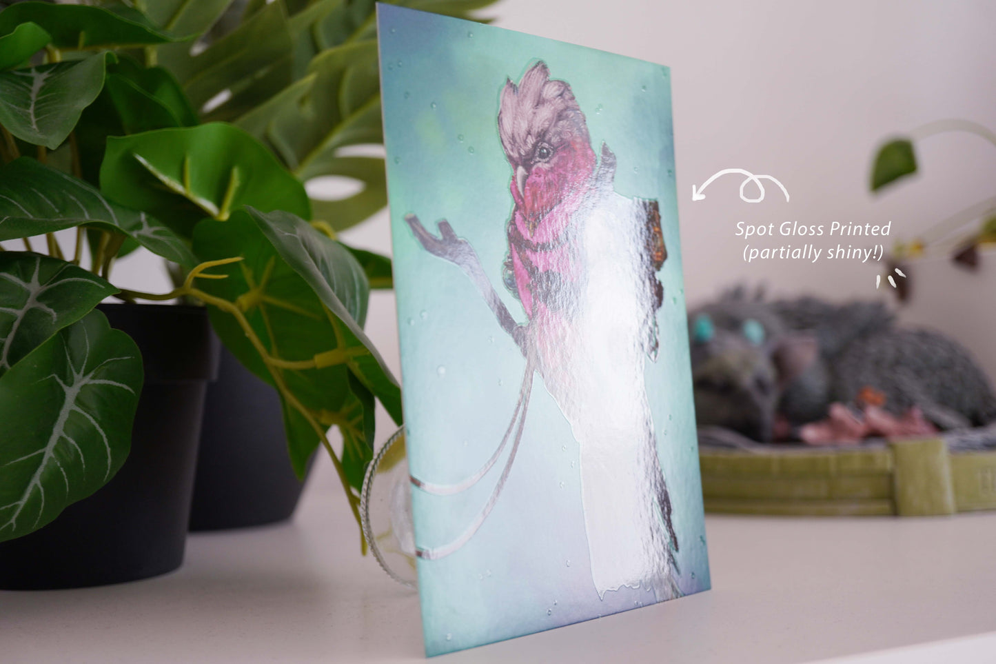 Adventure Bird Galah - Postcard A6