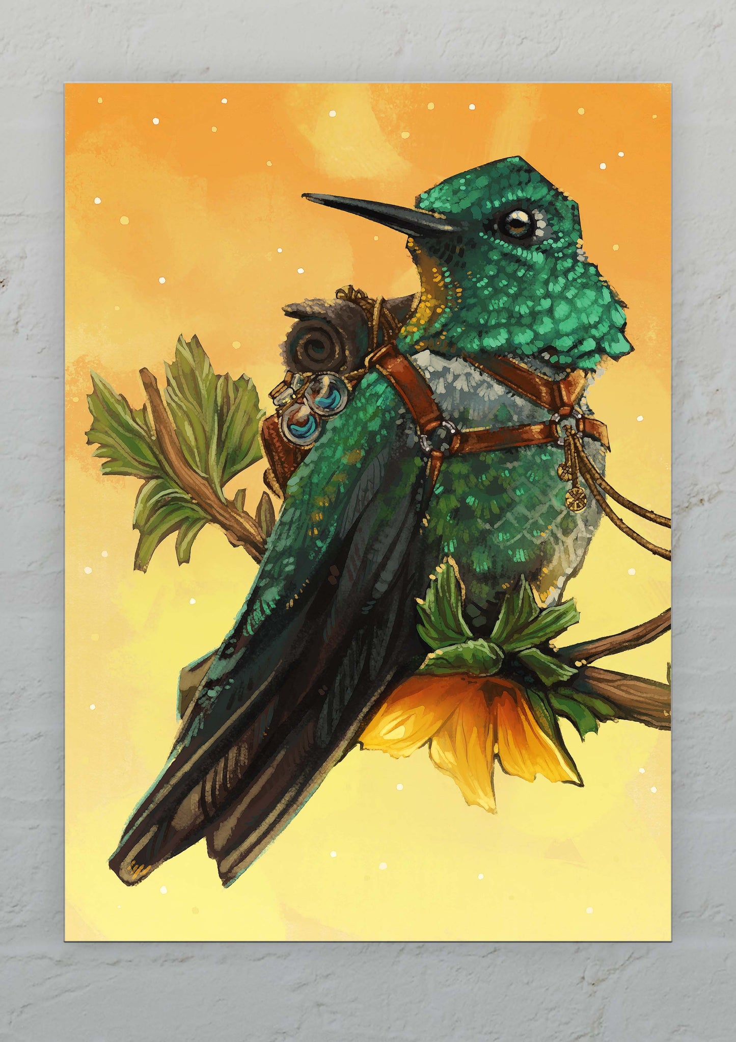 Adventure Bird Colibri - Postcard A6