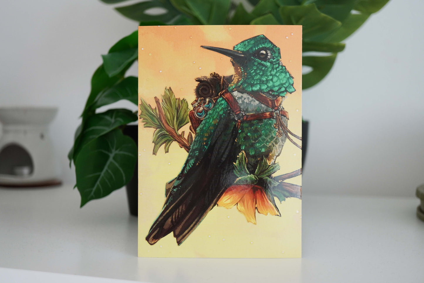 Adventure Birds - Postcard Set