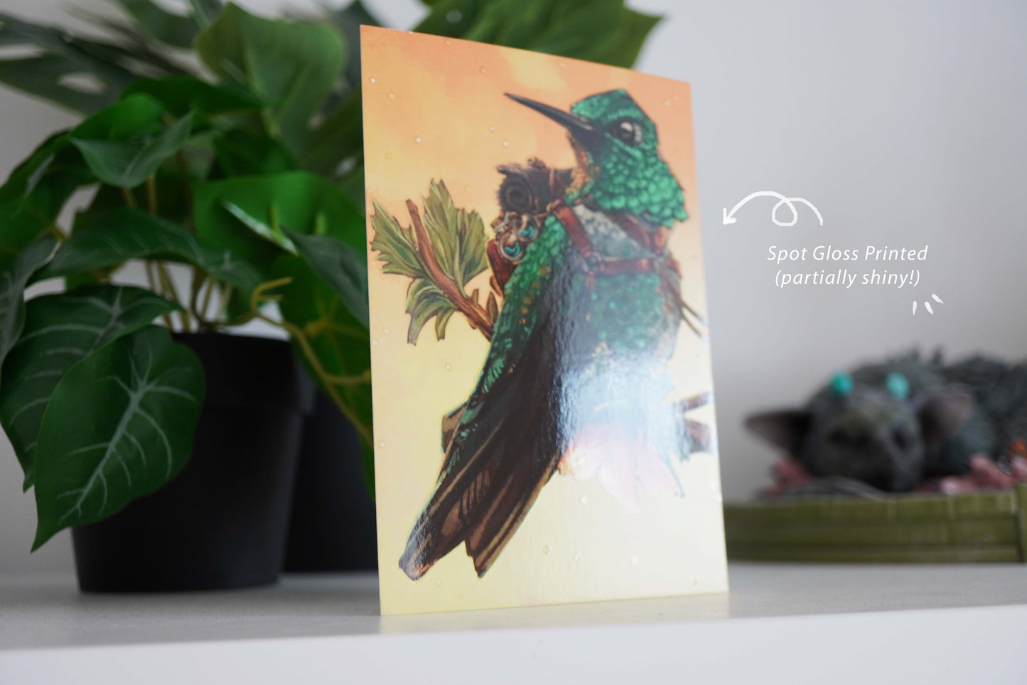 Adventure Bird Colibri - Postcard A6